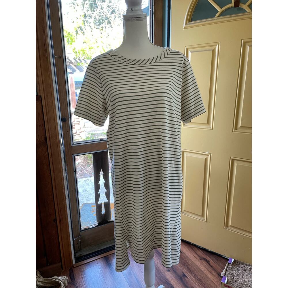 Buffalo by David Ditton Women Cream and Green Stripe Ribbed Short Sleeve Dress